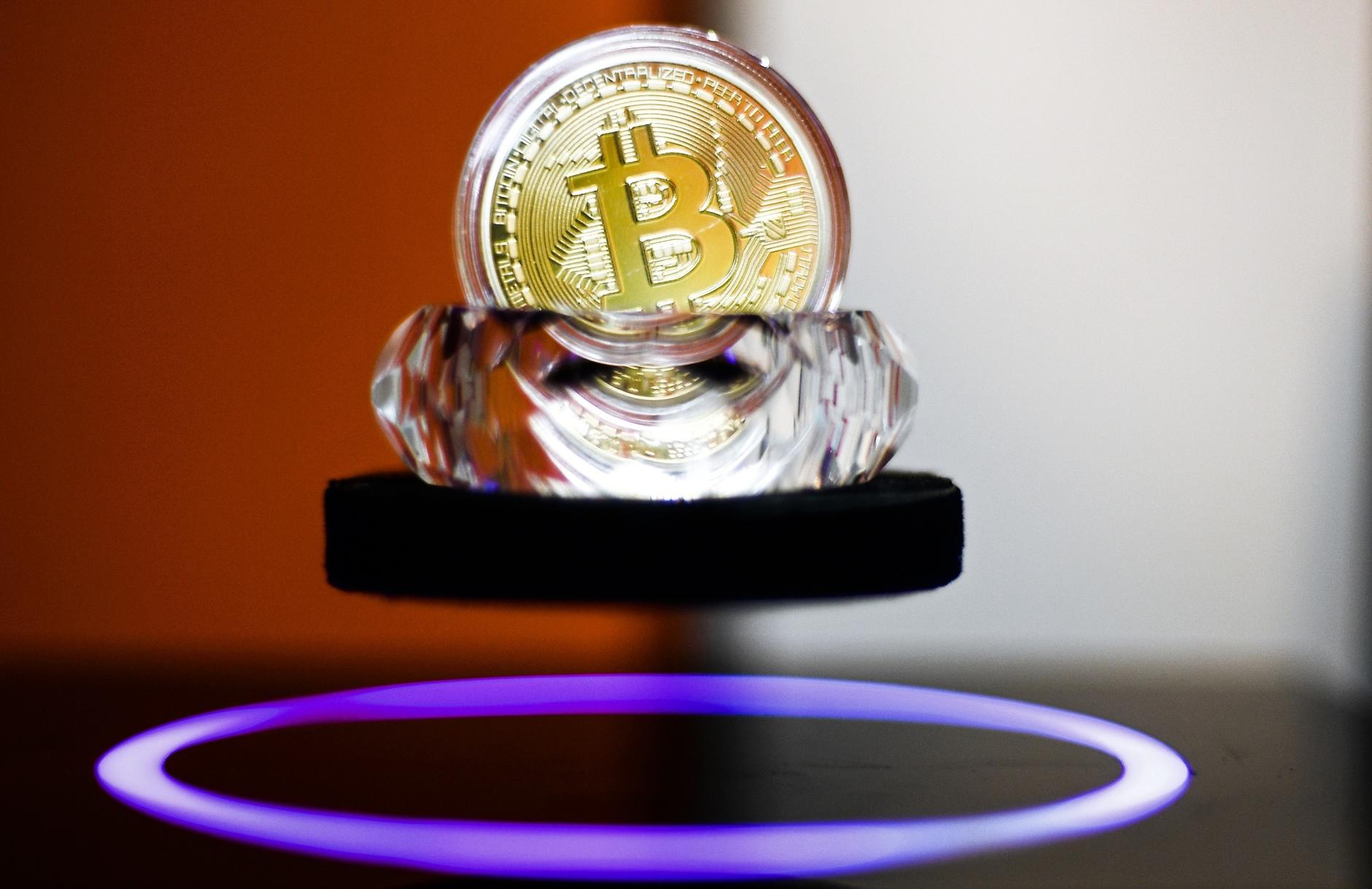 Картинки по запросу największe kryptogieldy