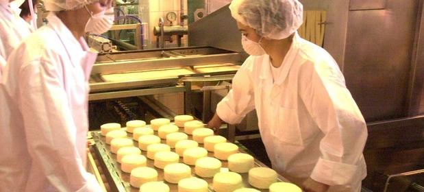 Polskie produkty mleczne, pomimo embarga, przedostają się przez Białoruś na rynek rosyjski