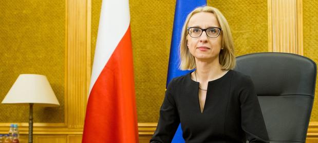 Jako wicepremier w resorcie finansów Mateusza Morawieckiego, Czerwińska zajmowała się budżetem państwa.