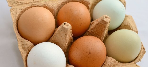 W Polsce rocznie produkuje się około 9 mld 100 milionów sztuk jaj