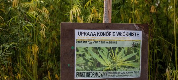 Wejście w życie ustawy liberalizującej prawo ma przyczynić się do powstania dochodowej branży rolnej.