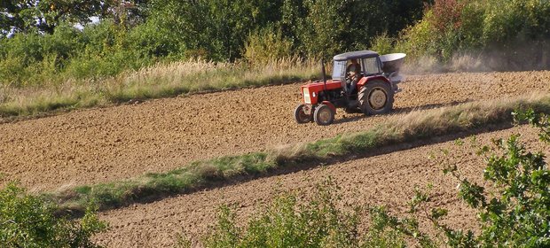 Od 1 grudnia rolnicy dostaną pozostałą część pieniędzy z dopłat bezpośrednich.