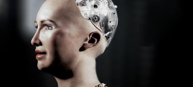 Mamy tylko kilka znaczących firm, które z sukcesami zajmują się Artificial Intelligence (AI), jak na przykład Alphamoon, CardioCube, Craftinity, Deepsense.ai, Kogifi czy Reliability Solutions.