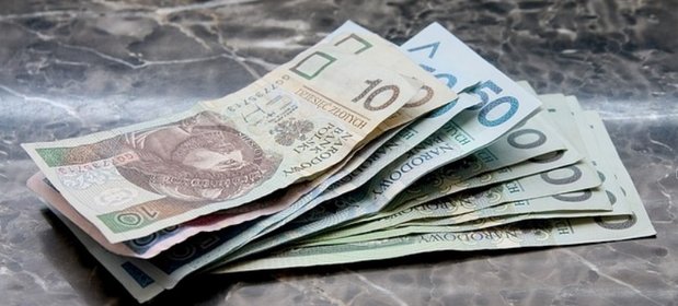Niektórzy mogą pozazdrościć pracownikom dyskontów