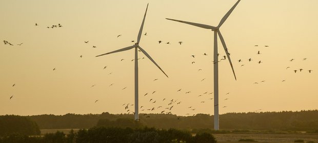 Ustawa o rynku mocy wejdzie w życie dopiero od 2021 roku, ale elektrownie już liczą zyski. Wiatraki mogą być bardziej opłacalne