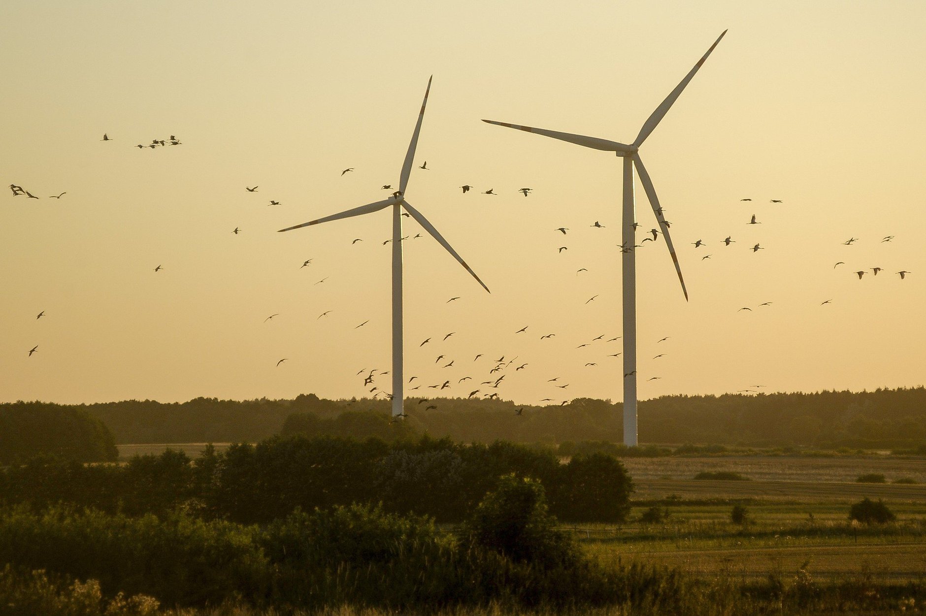 Elektrownie wiatrowe opłacalne dzięki ustawie. Energa liczy zyski